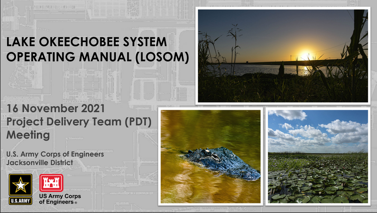 LOSOM Optimized Model