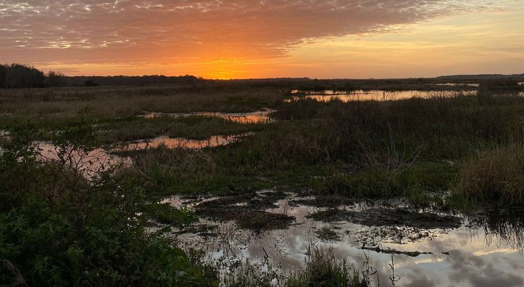 LOSOM: An Opportunity to Improve Florida Water Policy
