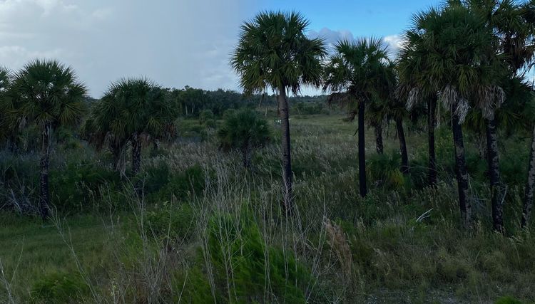 Florida Forever - How the State of Florida purchases public land