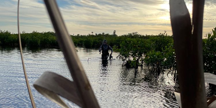 We reject the attempt to further limit hunting & fishing in National Wildlife Refuges