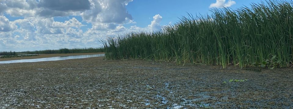 EAA Reservoir Lawsuits